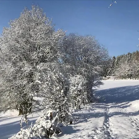 شقة Romantic Hideaway In Hellenthal, Cleaning Included