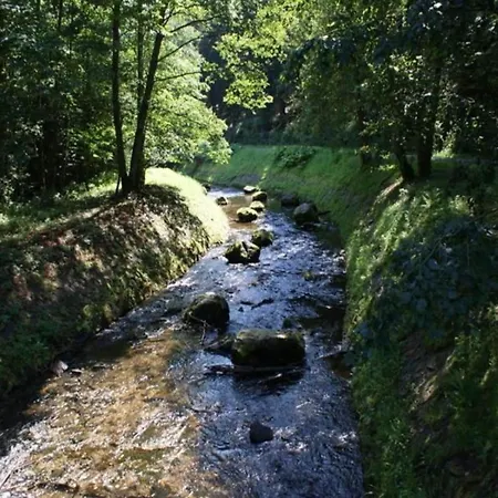 Romantic Hideaway In Hellenthal, Cleaning Included Apartment *